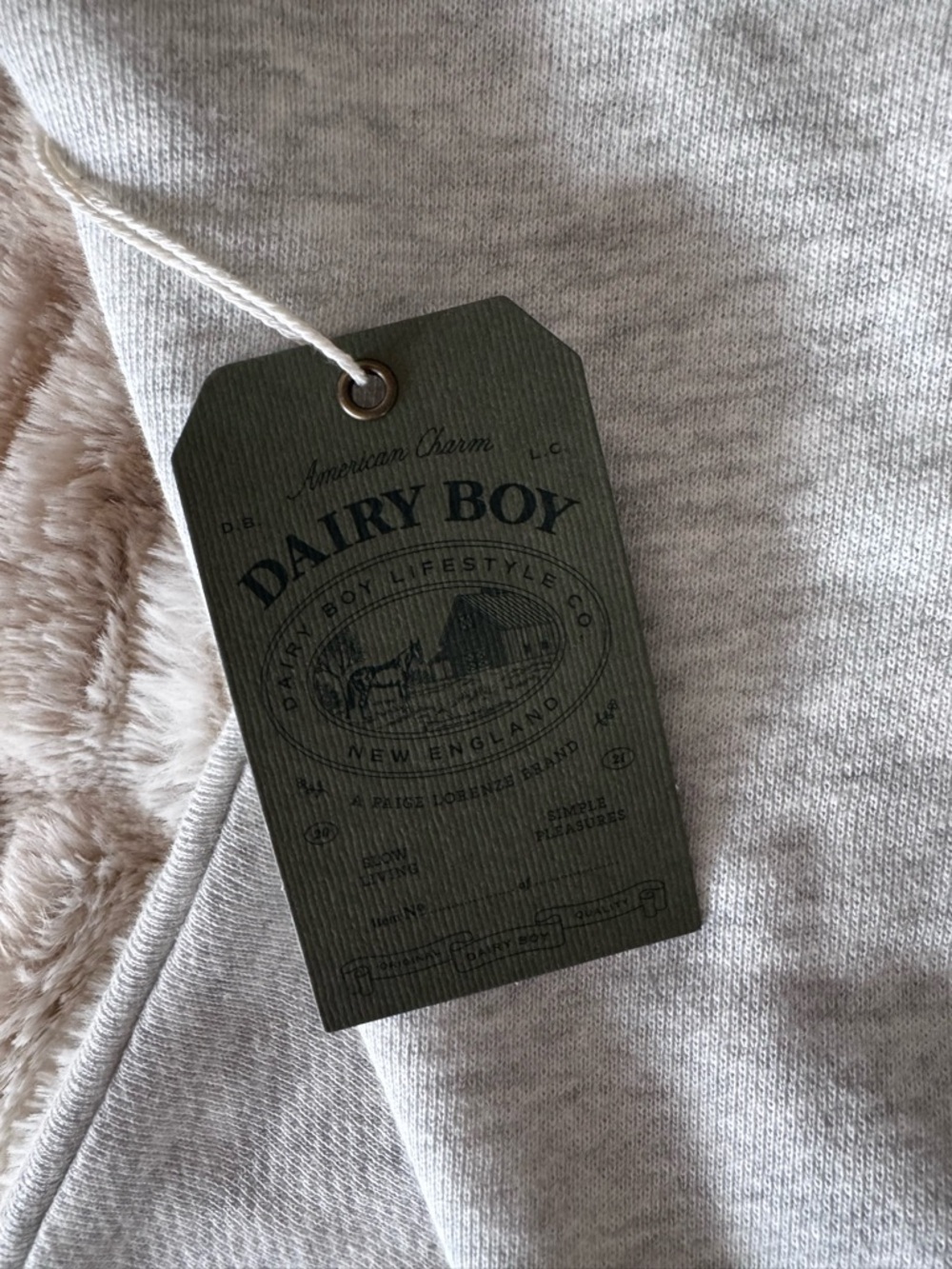 Dairy Boy Limited Edition San Diego Mock Sweatshirt - Picture 4 of 6